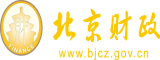 草嫩妣北京市财政局